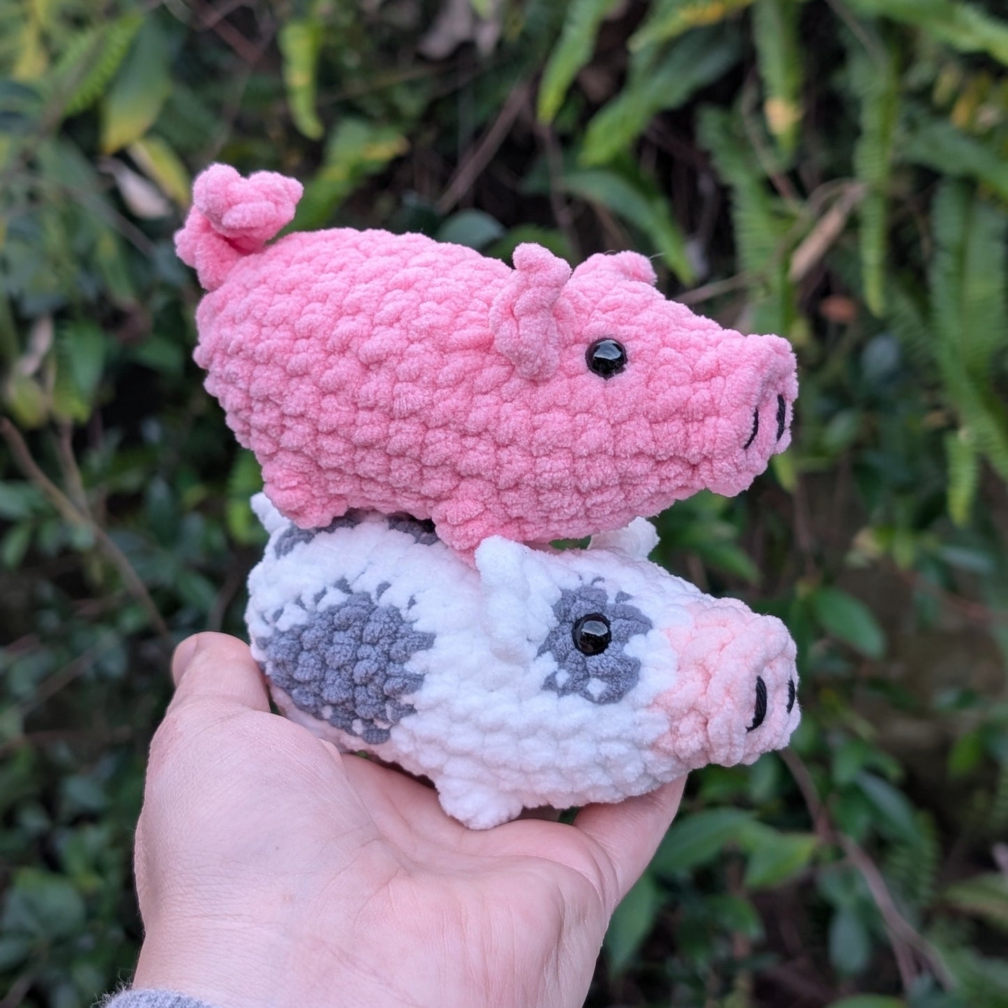 Two pigs - one pink and one white and grey