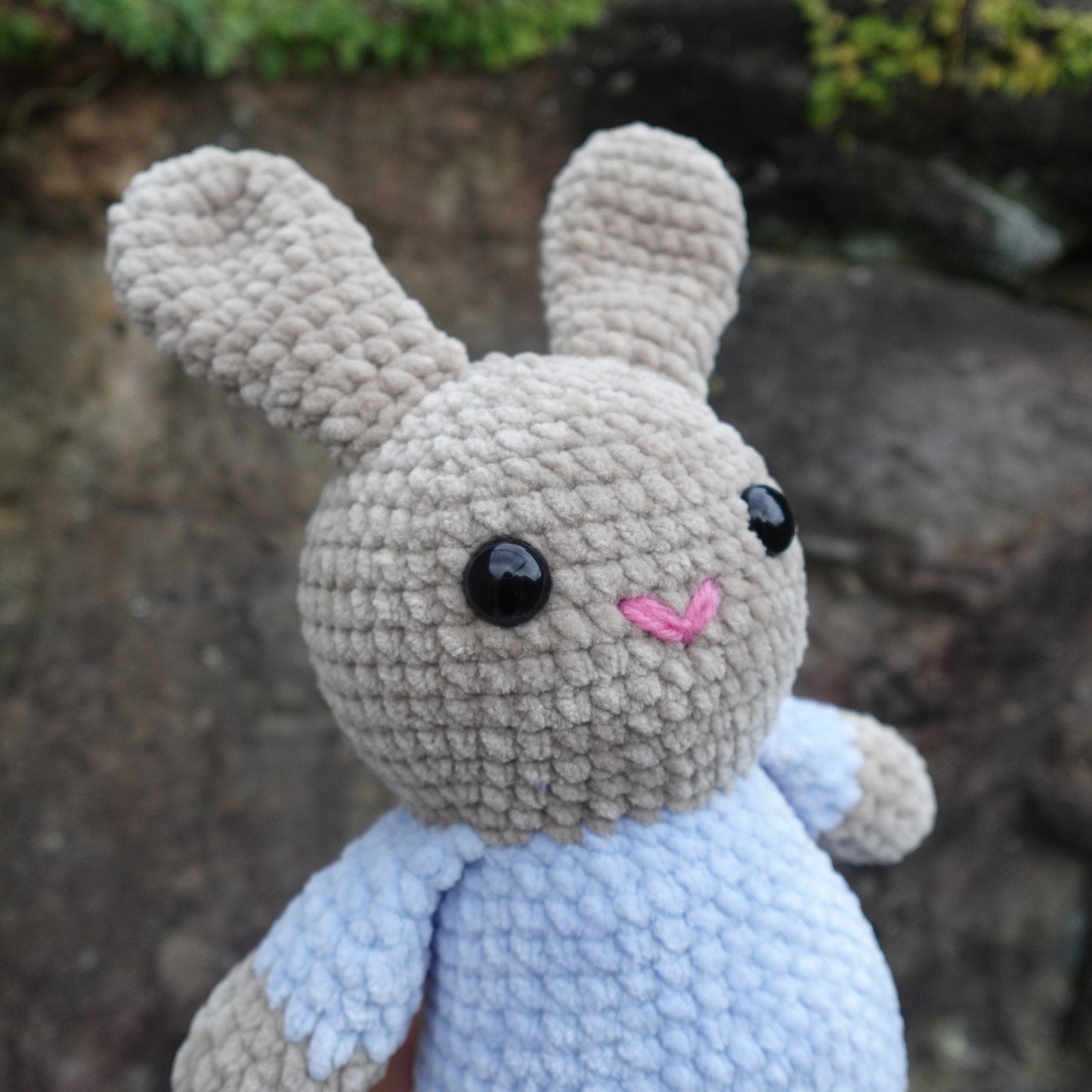 Bunny Buddy