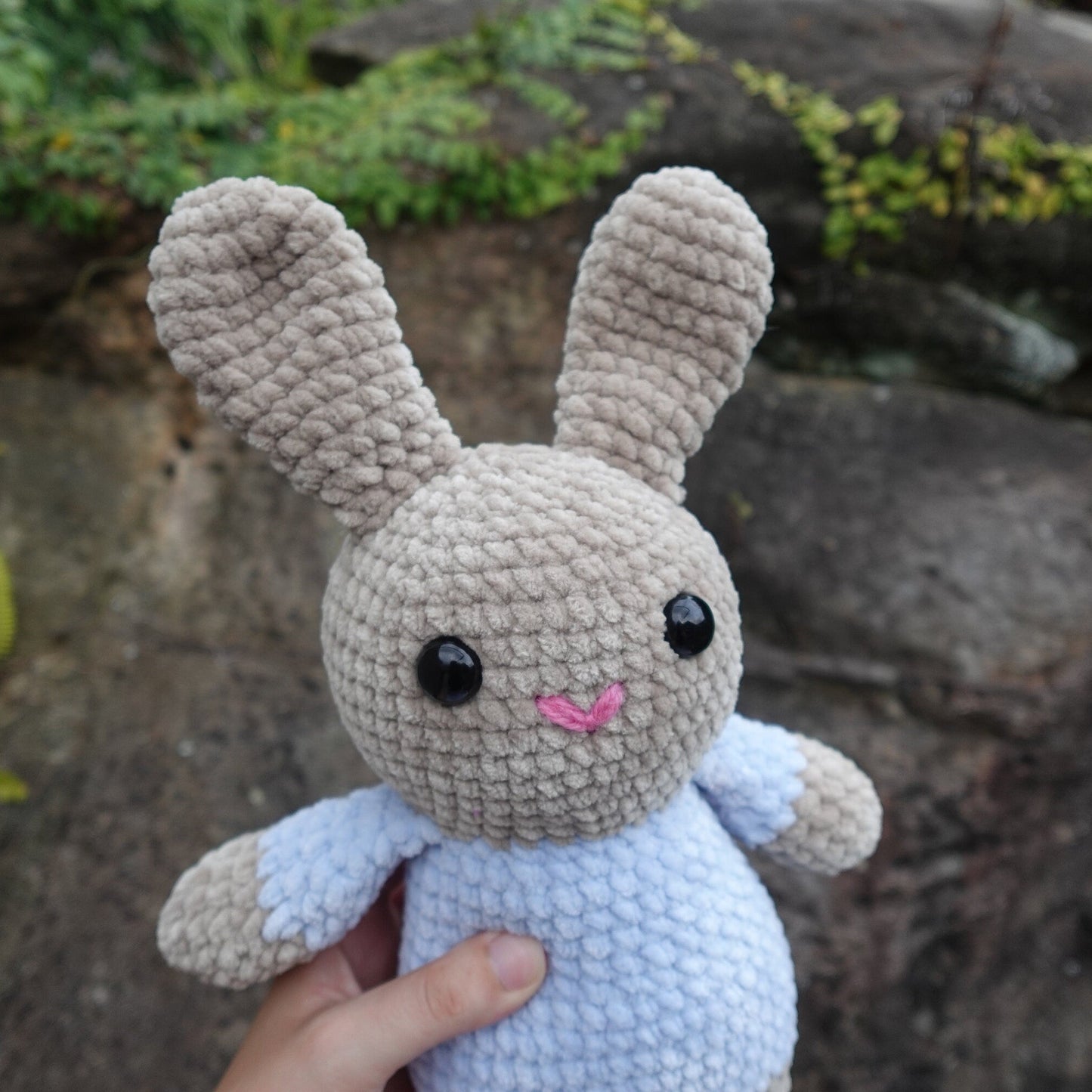Bunny Buddy