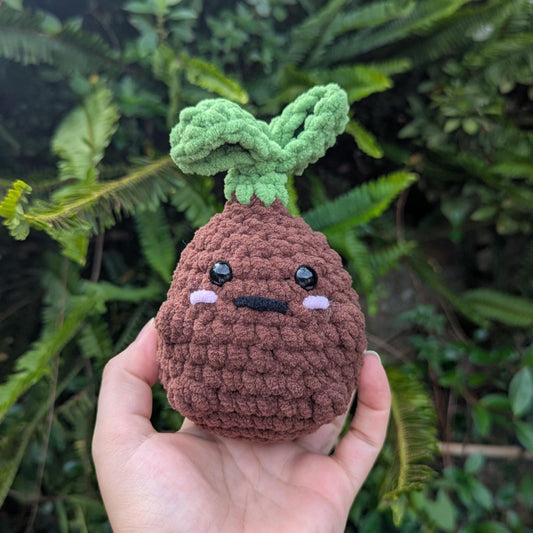 A small dark brown garden sprout with a light green leaf