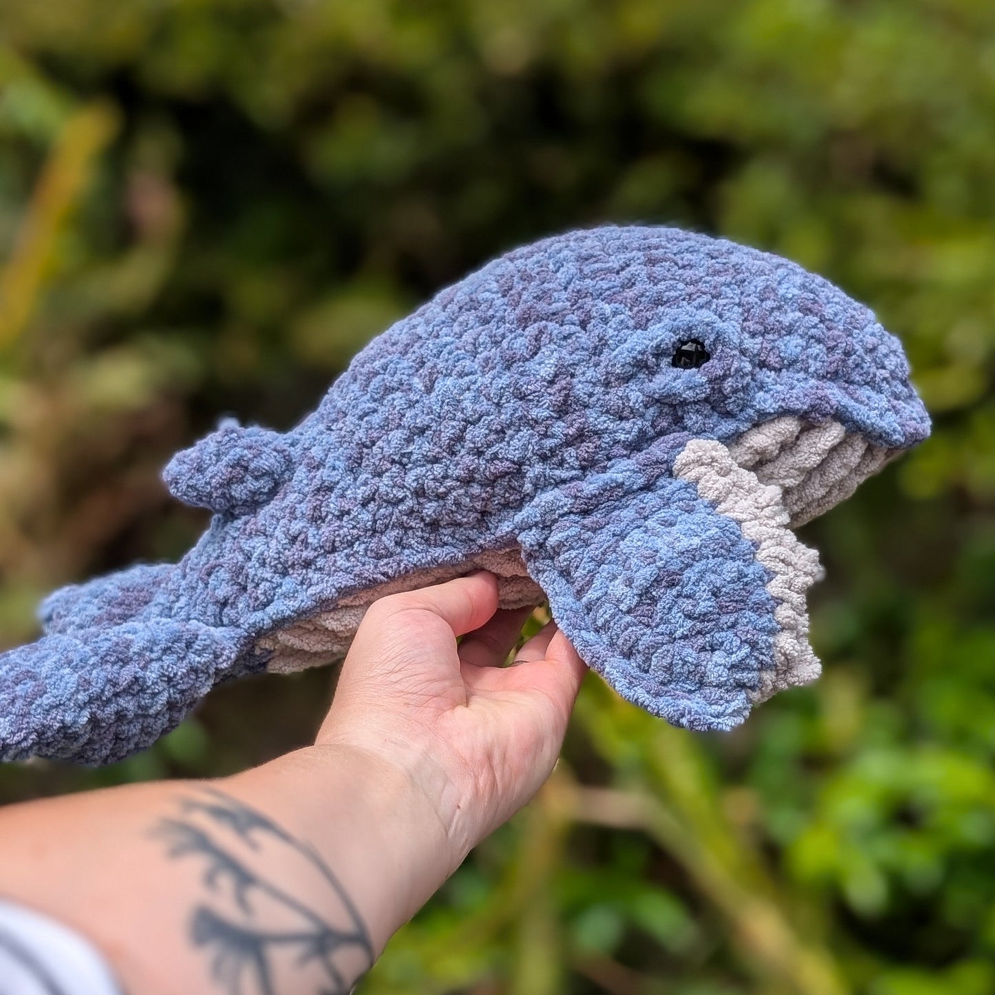 Baby Hugo the Whale