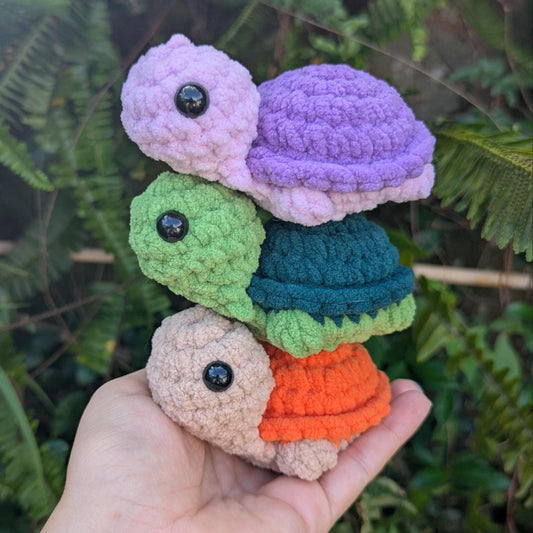 Tortoise / Turtle